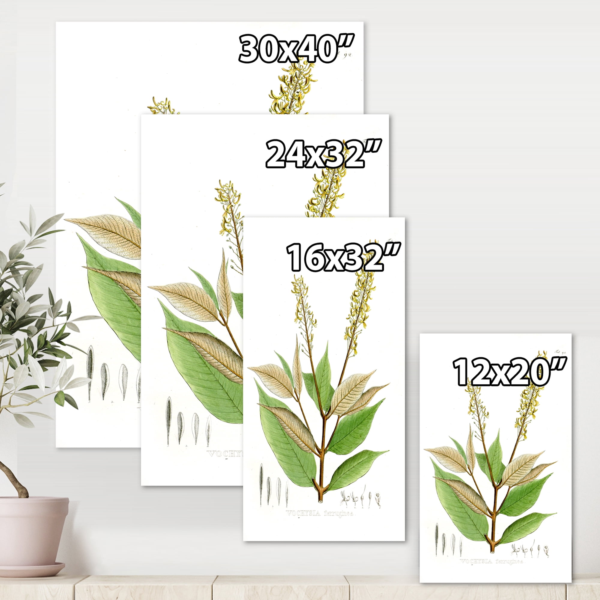 Ancient Brazilian Plant V 8 in x 12 in Painting Canvas Art Print, by Designart