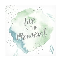 Trademark Fine Art 'Wonderful World V Blue Green' Canvas Art by Laura Marshall