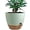 Green With Brown, variant on Plastic flowerpot, detachable deep reservoir and multi mesh drainage hole, suitable for indoor and outdoor garden plants and flowers. Different colors to choose from
