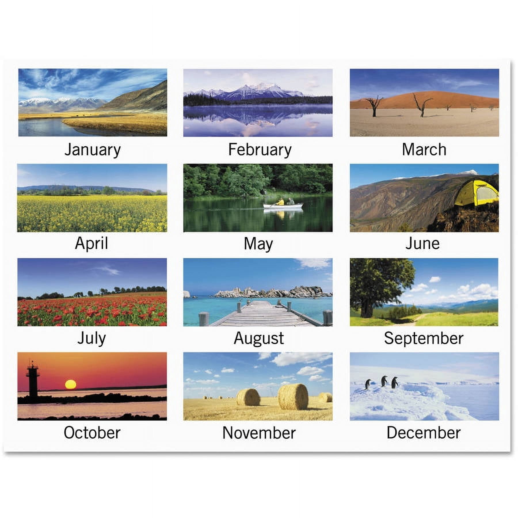AT-A-GLANCE Landscape Monthly Wall Calendar, 12 x 12, 2017