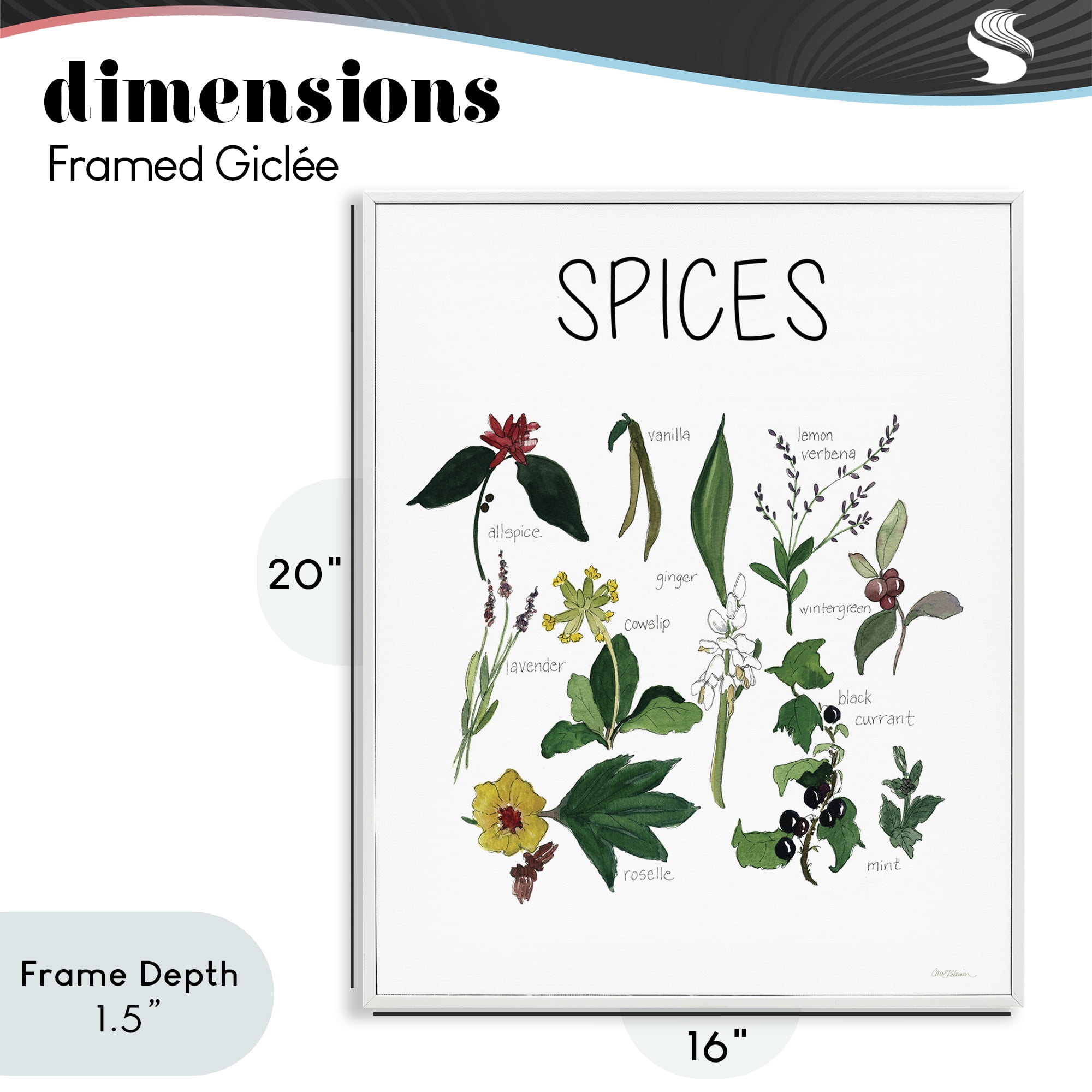 Stupell Industries Spices Identification Chart White Framed Giclee Art, design by Carol Robinson