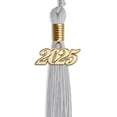 thumbnail image 2 of Endea Graduation Silver Graduation Tassel with Gold Date Drop, 2 of 11