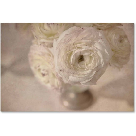 Trademark Fine Art Cora Niele White Persian Buttercup Still Life Canvas Wall Art - 22x32