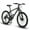 Black, variant on Raistyw 26 inch Mountain Bike for Men, Shimano 21 Speeds Mountain Bicycle for Adult with Mechanical Disc Brakes ,Ages 16+ ,Black + Orange