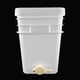 thumbnail image 3 of Contenedor De Miel, Cubo De Miel De 20 Litros, Plástico HDPE, Multiusos Para Apicultura, 3 of 7