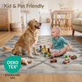 thumbnail image 4 of ODIKA 4'x6' Ultra-Soft Area Rug, Abstract Geometric Interlocking Diamond Triangle Distressed Border None Washable, Bare feet friendly, Silk-Touch for Bedroom Home office, 4 of 7