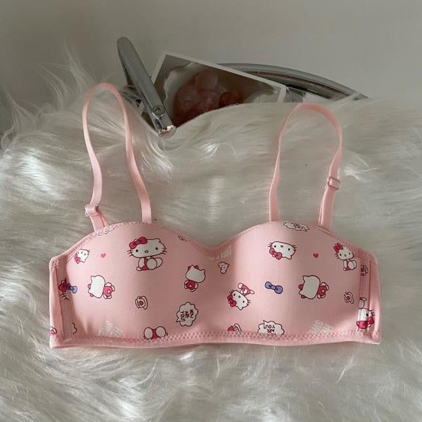 Sanrio Hellokittyed-Sujetador con estampado de dibujos animados, ropa interior bonita, pecho pequeño, Push-Up, cómodo, Conjunto de sujetador inalámbrico, Kawaii, nuevo