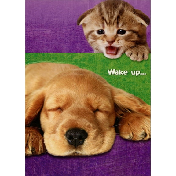 Designer Greetings Kitten Saying Wake Up to Puppy Cute Dog and Cat Birthday Card