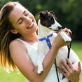 thumbnail image 4 of MASBRILL No Pull Dog Harness Soft Basic Nylon Adjustable Dog Vest Easy Walking Harness, 4 of 7