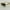Brown, variant on Men Sunglasses Black Lens Hip Hop