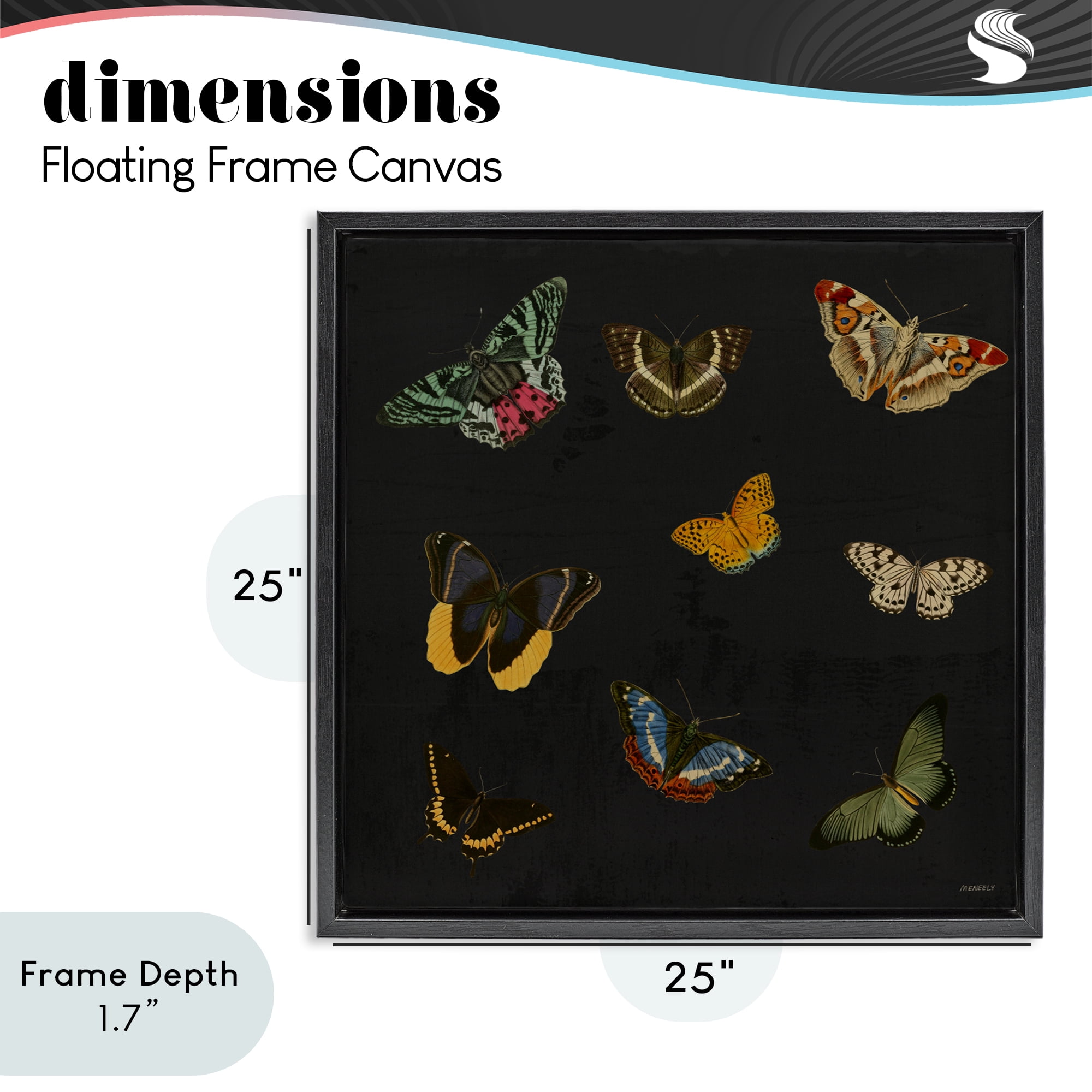 Stupell Industries Butterfly & Moth Collection Black Framed Floater Canvas Wall Art, design by Dan Meneely