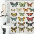 thumbnail image 4 of Butterfly Specimen Retro Theme Shower Curtain, Brown Background Colorful Butterfly Insect Art Bathroom Decoration, Family Bathroom Privacy Waterproof Shower Curtain 12 Hooks 72x84In, 4 of 6