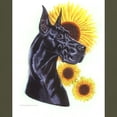 thumbnail image 3 of CafePress - C Blk Sunflower Dark T Shirt - Men's Classic Graphic Cotton T-Shirt, 3 of 4