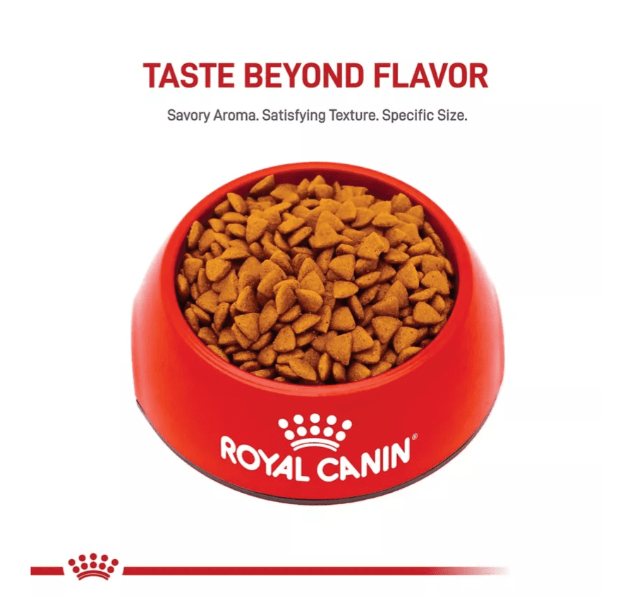 Royal Canin Size Health Nutrition Puppy Small Breed Chicken Recipe