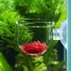 thumbnail image 4 of Alimentador de acuario NikouMX transparente de vidrio para gusano rojo durabilidad probada, 4 of 8