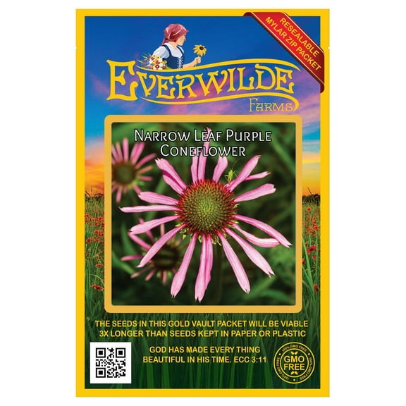 Everwilde Farms - 200 Narrow Leaf Purple Coneflower Native Wildflower Seeds - Gold Vault Jumbo Bulk Seed Packet
