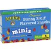 Annie's Organic Mini Bunny Fruit Flavored Snacks, Strawberry, Mango & Cherry, Gluten Free, 5 Pouches