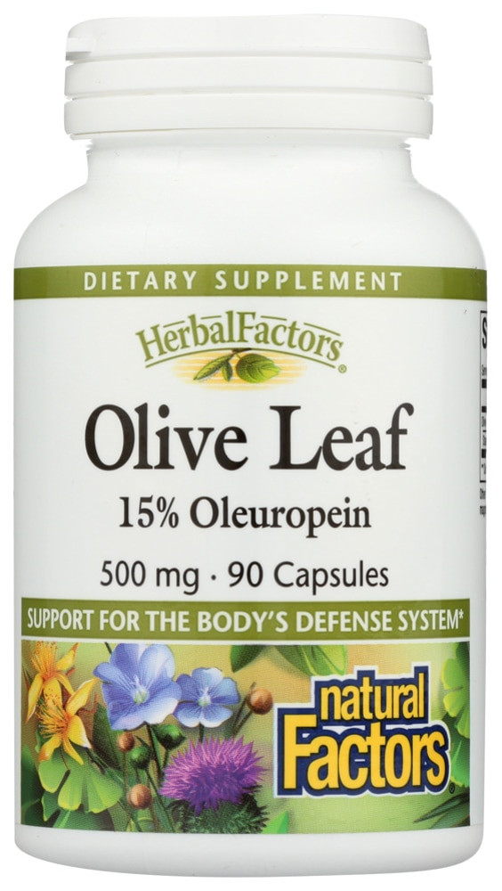 Natural Factors Olive Leaf Extract 500 mg 90 Capsules