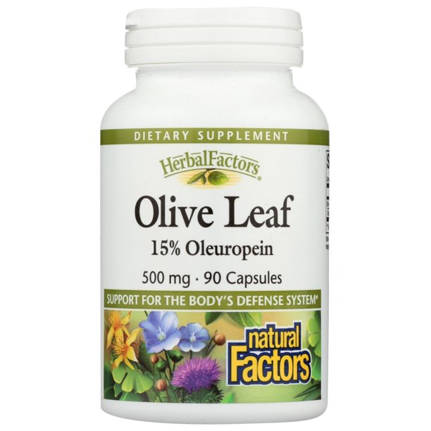 Natural Factors Olive Leaf Extract 500 mg 90 Capsules