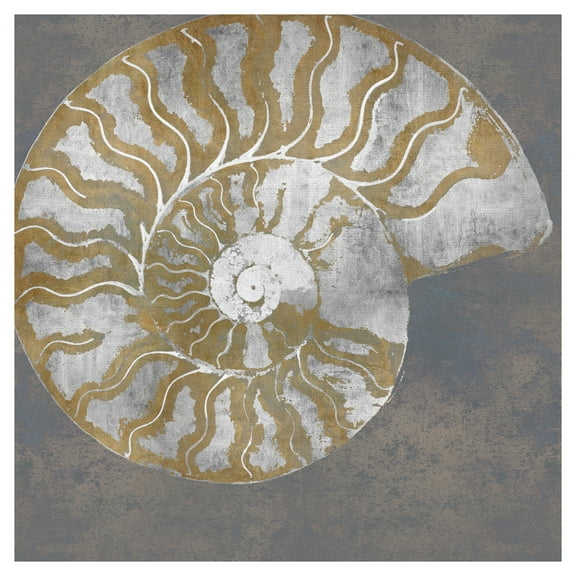 Nautilus I by Mark Chandon Mollusk Canvas Art