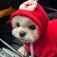 thumbnail image 4 of Linda ropa navideña para perros pequeños, sudaderas con capucha, ropa cálida de vellón para mascotas, traje de chaqueta para cachorros, gatos, chihuahua francés para invierno y otoño, 4 of 4