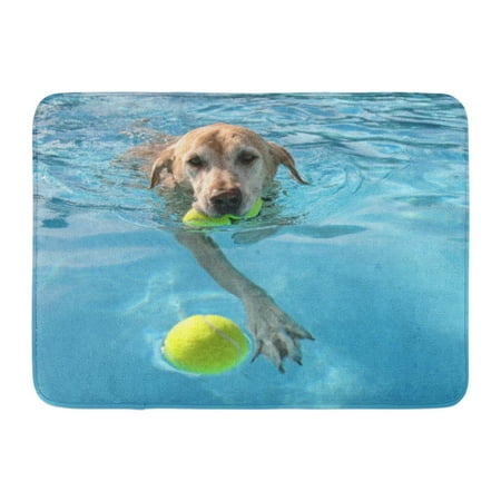 SIDONKU Yellow Labrador Dog at Local Public Pool Blue Summer Lab Ball Best Doormat Floor Rug Bath Mat 23.6x15.7