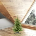 thumbnail image 3 of Vickerman 24" Fraser Fir Artificial Christmas Tree, Unlit, 3 of 3