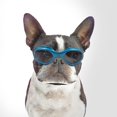 thumbnail image 1 of Lunettes pour Chien, Lunettes de Soleil pour Animaux, Protection Uv, 1 of 1