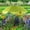 Green, variant on PBAZIH Large Garden Parasol with Plant Stake, Outdoor Umbrella for Sunlight Shade and Rain Protection, Perfect for Potted Plants, Durable Metal Frame, Decorative Garden Canopy