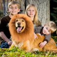 thumbnail image 2 of Cute Lion Mane for Dogs Puppy Outfits Lion Wig Neckchief Collar Festivals Pet Dog Lion Pet Dog Costume Collar, 2 of 4