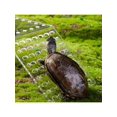 thumbnail image 4 of Aquarium Acrylic Backing Sunscreen Hook, Adjustable Stretchable Sunscreen And Ramp, Suitable For Turtles And Aquatic Animals, Etc., 4 of 5