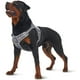 thumbnail image 2 of Arnés de chaleco para perros Zulema reflectante gris, 2 of 7