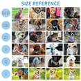thumbnail image 3 of Miaocao Dog Harness - Lightweight Mesh Step-in Vest for Puppy, Reflective & Escape-Proof Design with High-Stick Magic Tape - Indoor/Outdoor Use for Chihuahua, Maltese, Shih Tzu(Brown-Beige, XXXS), 3 of 9