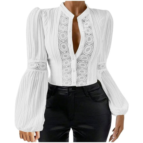 tarylea Plus Size Tops for Women Eyelet Patchwork Shirts Long Lantern Sleeve Button down Tops Going out Cute Tops