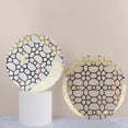thumbnail image 6 of BalsaCircle 20 Disposable Clear White Plastic Dinner Salad Plates Gold Geometric Design Party Tableware, 6 of 8