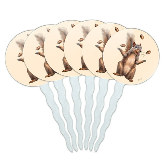 Squirrel Juggling His Nuts Crazy Funny Cupcake Picks Toppers Decoration Set of 6