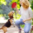 thumbnail image 4 of asddcavvf In Fruit and Vegetable Shapes Squeaky Chew with PP Filling for Interactive Play and Teeth Cleaning Dog Package for Small Dogs Aggressive Chewer Dog Pack Dog Tug for Large Dogs, 4 of 4
