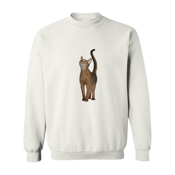 Playful Abyssinian Looking Up Sweatshirt Women -Image by Shutterstock, Female 3X-Large
