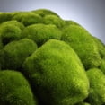 thumbnail image 2 of Cyan Design 02608 Large Moss Sphere - Green, 2 of 3