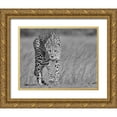 thumbnail image 1 of Marx, Jaco 32x26 Gold Ornate Wood Framed with Double Matting Museum Art Print Titled - Focused predator, 1 of 4