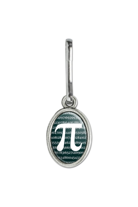 Pi Math Geek Nerd 3.14 Antiqued Oval Charm Clothes Purse Suitcase Backpack Zipper Pull Aid