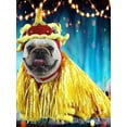 thumbnail image 5 of Catlerio Lion Dance Dog Four-Legged Costume New Year Pet Clothes Cute Cat Tang Suit Winter Teddy Hoodies for Cats Corgi Bulldog, 5 of 5