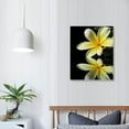 thumbnail image 3 of Creowell Plumeria Flower Wall Art Yellow Flower Black and White Picture Canvas Print Wall Painting Modern Artwork Wall Décor for Bedroom Living Room Bathroom Office (16x20inch), 3 of 3