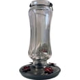 thumbnail image 4 of Perky-Pet Clear Starglow Vintage Glass Hummingbird Feeder - 16 oz, 4 of 9