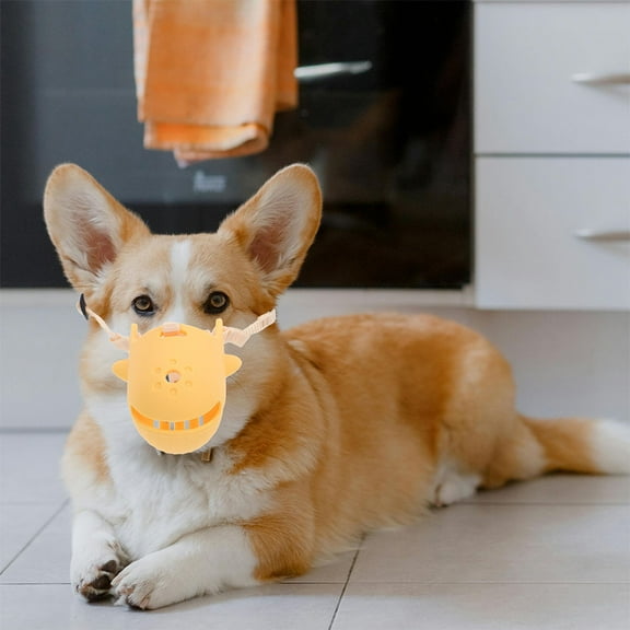 KONTONTY Large Orange Adjustable Muzzle with PP Material, Prevents Licking, 1 Set for Pets