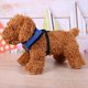 thumbnail image 2 of Mascota Chaleco Transpirable Arnés Correa Cachorro Caminando Correa De Cuerda De Tracción (Azul / M) Tmvgtek Oficina Multiescena Multifunción, 2 of 6