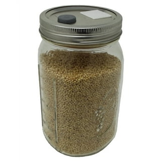 Mushroom Shape Glass Jar Grain Canister Sealed Food Storage Container for  Loose Tea Coffee Bean (800Ml) Practical Xq