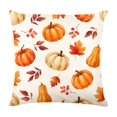 thumbnail image 2 of Fall Pumpkin Throw Pillow Covers 18"x18", Single Fall Decorative Cushion Case with Autumn Harvest Design for Sofa Couch Home Decor, Without Insert，B, 2 of 8