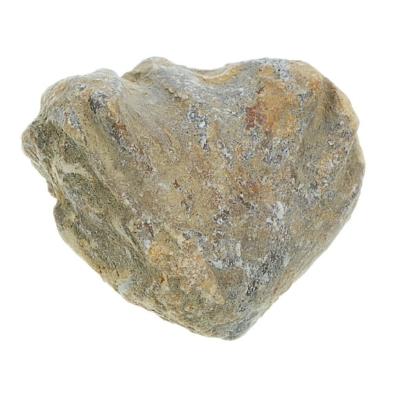 Khaki Model Decor for Decoration Ideal for Children Toys and Table Adornment 2 Pieces