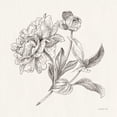 thumbnail image 3 of Nai, Danhui 20x20 Black Modern Framed Museum Art Print Titled - Flower Sketches I, 3 of 5